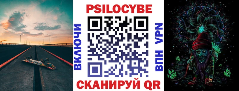 цены наркотик Новая Ладога Псилоцибиновые грибы Psilocybine cubensis