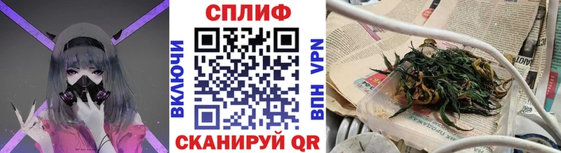 Канабис тримм  где купить наркоту  Новая Ладога 